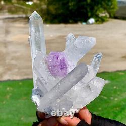 1.11LB Newly Discovered White+Purple Phantom Quartz Crystal Cluster Mineral