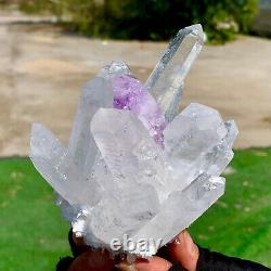 1.11LB Newly Discovered White+Purple Phantom Quartz Crystal Cluster Mineral