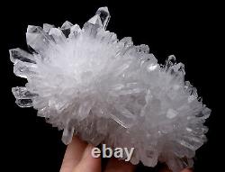 1.12lb White chrysanthemum QUARTZ Crystal Cluster Mineral Specimen Healing
