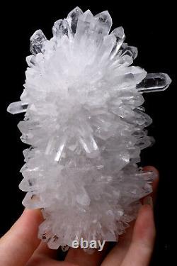 1.12lb White chrysanthemum QUARTZ Crystal Cluster Mineral Specimen Healing