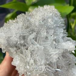 1.16LB Natural Clear Beautiful Quartz Crystal Cluster Specimen Reiki healing
