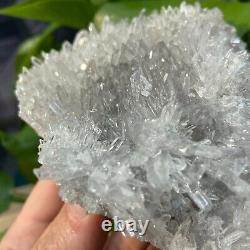 1.16LB Natural Clear Beautiful Quartz Crystal Cluster Specimen Reiki healing
