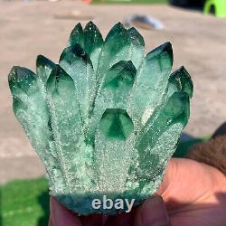 1.1LB Newly discovered green phantom quartz crystal cluster mineral