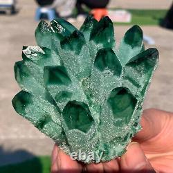 1.1LB Newly discovered green phantom quartz crystal cluster mineral