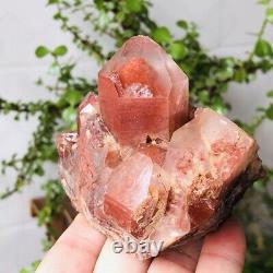 1.1lb Rare Natural Red Ghost Pyramid Quartz Crystal Cluster Raw Mineral Specimen