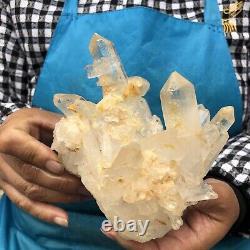 1.32LB Natural White Clear Quartz Crystal Cluster Rough Healing Specimen