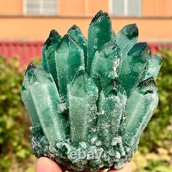 1.33LB New Find green PhantomQuartz Crystal Cluster MineralSpecimen