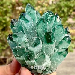 1.33LB New Find green PhantomQuartz Crystal Cluster MineralSpecimen