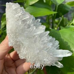 1.34LB Natural Clear Beautiful Quartz Crystal Cluster Specimen Reiki healing