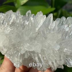 1.34LB Natural Clear Beautiful Quartz Crystal Cluster Specimen Reiki healing