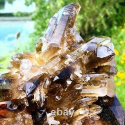 1.35 LB Natural Citrine Smokey Crystal Cluster Quartz Crystal Mineral Specimen