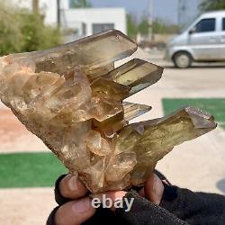 1.3LB Natural Citrine cluster mineral specimen quartz crystal healing