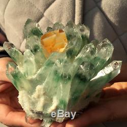 1.3lb New Find Green Phantom Quartz Crystal Cluster Mineral Specimen Healing121