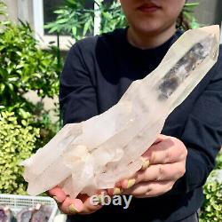 1.46LB Clear Natural Beautiful White QUARTZ Crystal Cluster Specimen