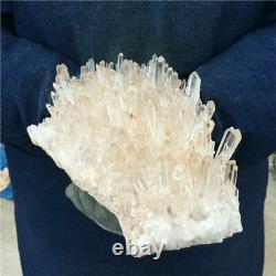 1,483g Natural Clear Nice White Quartz Crystal Cluster Mineral Healing Specimen