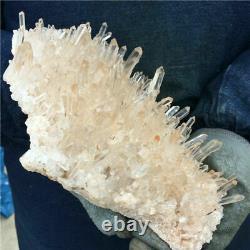 1,483g Natural Clear Nice White Quartz Crystal Cluster Mineral Healing Specimen