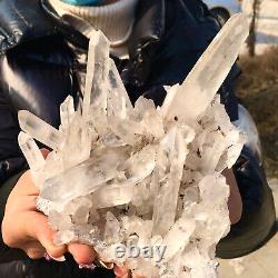 1.49LB Clear Natural Beautiful White QUARTZ Crystal Cluster Specimen