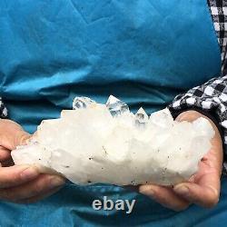 1.49LB Large Natural White Quartz Crystal Cluster Rough Specimen Healing Stone