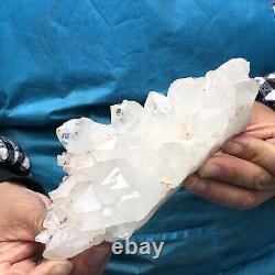 1.49LB Natural White Clear Quartz Crystal Cluster Rough Healing