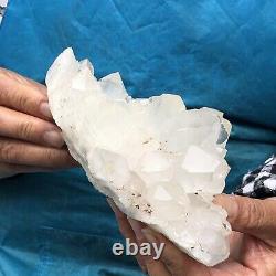 1.49LB Natural White Clear Quartz Crystal Cluster Rough Healing
