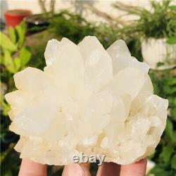 1.4lb Natural Clear Quartz Crystal Cluster Vug Druse Raw Rough Mineral Specimens