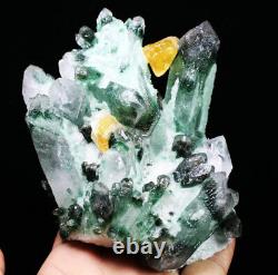 1.53lb New Find Green/Yellow Phantom Quartz Crystal Cluster Mineral Specimen