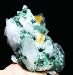 1.53lb New Find Green/Yellow Phantom Quartz Crystal Cluster Mineral Specimen