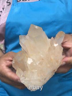 1.58LB Natural clear Beautiful White QUARTZ Crystal Cluster Specimen healing