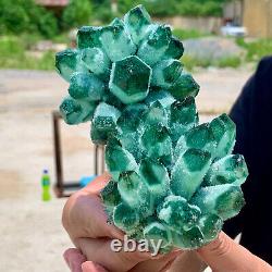 1.58LB New Find green Phantom Quartz Crystal Cluster Mineral Specimen Healing