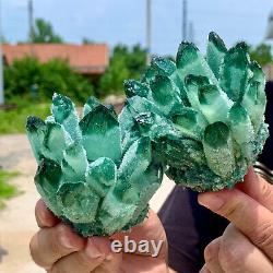 1.58LB New Find green Phantom Quartz Crystal Cluster Mineral Specimen Healing