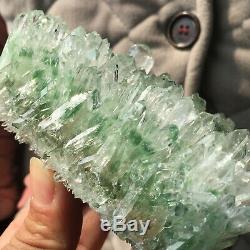 1.5lb New Find Green Phantom Quartz Crystal Cluster Mineral Healing Specimen 310