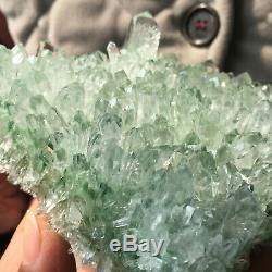 1.5lb New Find Green Phantom Quartz Crystal Cluster Mineral Healing Specimen 310