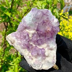 1.62 LB Natural purple cubic Fluorite Crystal Cluster mineral sampl