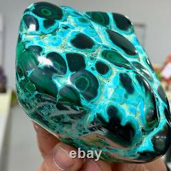 1.62LB Natural glossy Malachite transparent cluster rough mineral sample