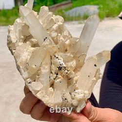 1.64LB Clear Natural Beautiful White QUARTZ Crystal Cluster Specimen
