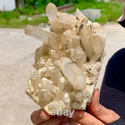1.64LB Clear Natural Beautiful White QUARTZ Crystal Cluster Specimen