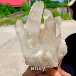 1.65LB Clear Natural Beautiful White QUARTZ Crystal Cluster Specimen