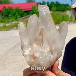 1.65LB Natural Beautiful White Quartz Crystal Cluster Specimen