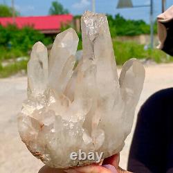 1.65LB Natural Beautiful white Quartz Crystal Cluster Mineral Specimen