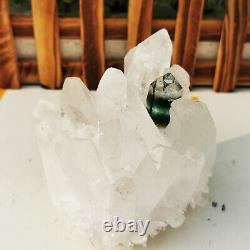 1.71LB Natural Clear White Quartz Crystal Cluster Rough Healing Specimen decor