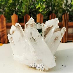 1.71LB Natural Clear White Quartz Crystal Cluster Rough Healing Specimen decor
