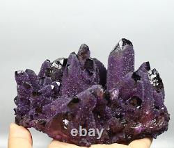 1.76lb RARE! New Find Natural Beatiful Amethyst Quartz Crystal Cluster Specimen