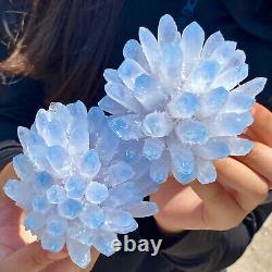 1.77LB New Find Blue Phantom Quartz Crystal Cluster Mineral Specimen Healing