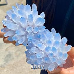 1.77LB New Find Blue Phantom Quartz Crystal Cluster Mineral Specimen Healing