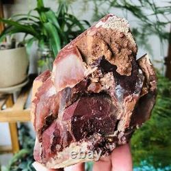 1.77lb Rare Natural Red Ghost Quartz Crystal Cluster Raw Rough Mineral Specimens