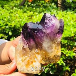 1.78LB Natural amethyst crystal cluster quartz crystal specimen restoration