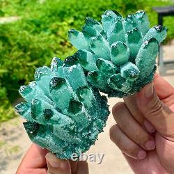 1.7LB New Find green Phantom Quartz Crystal Cluster Mineral Specimen Healing