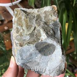1.7lb Natural Amethyst Quartz Crystal Cluster Geode Raw Rough Mineral Specimens