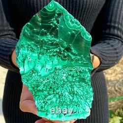 1.82LB Natural Glossy Malachite Transparent Cluster Rough Mineral Sample
