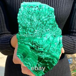 1.82LB Natural Glossy Malachite Transparent Cluster Rough Mineral Sample